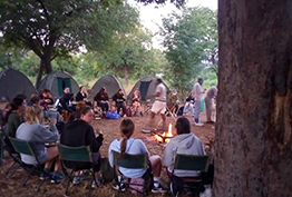 Safari bush Parties